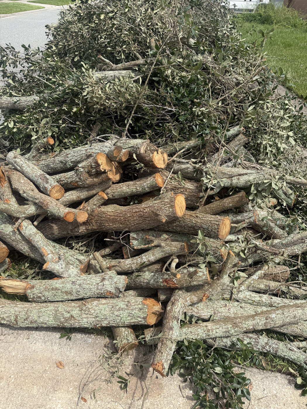 Evercrest Tree Trimming project in Pittsburgh, PA